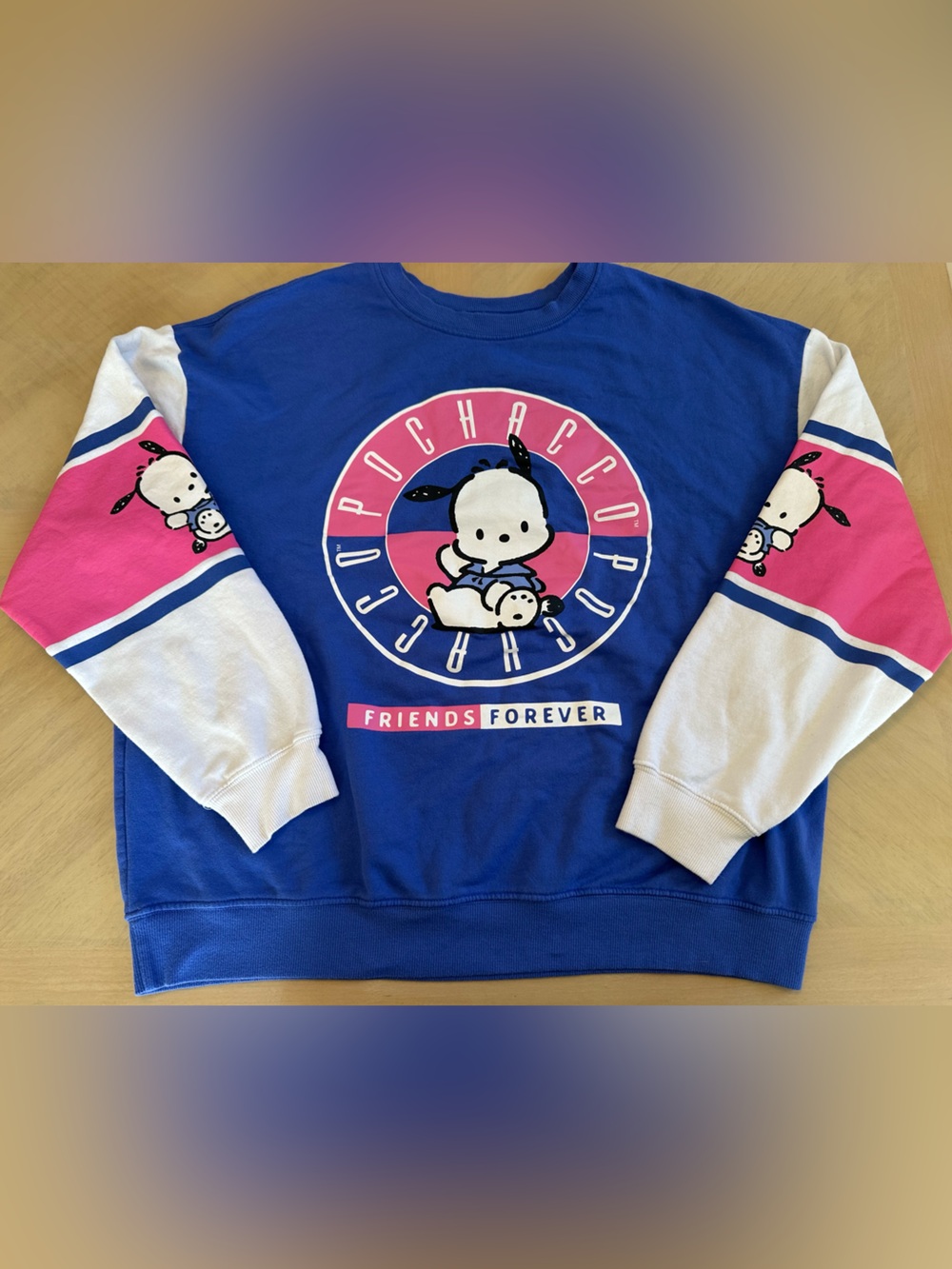 Sanrio Pochacco Graphic Sweatshirt Size XL